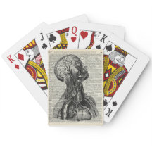 Medizinische menschliche Anatomie