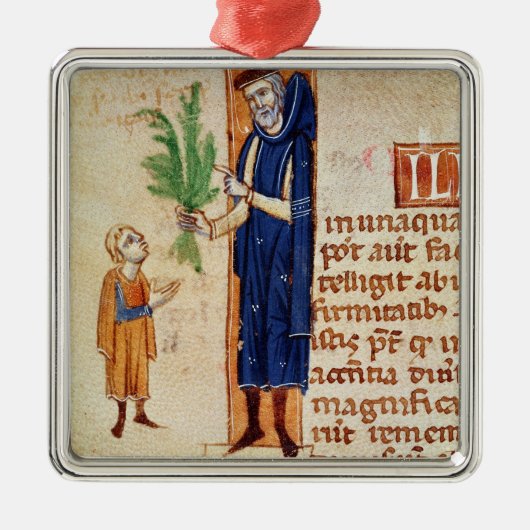 Medizinische Pflanzen Silbernes Ornament (Vorne)