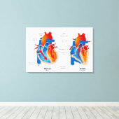 Medizinische Übersicht über den Herzblutfluss Leinwanddruck (Insitu (Holzboden))