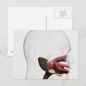 Medizinische Veranschaulichung des menschlichen Ve Postkarte (Vorne/Hinten)