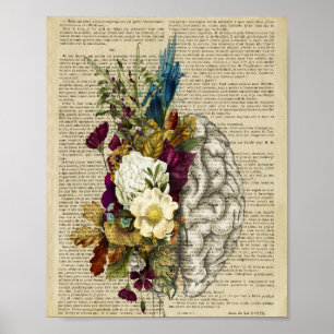 medizinisches Blumen-Gehirn-Anatomie-Poster Poster