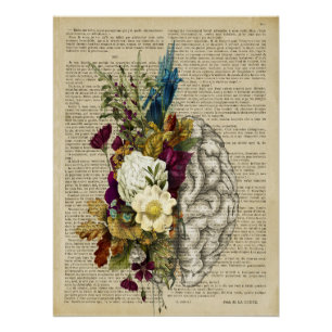 medizinisches Blumen-Gehirn-Anatomie-Poster Poster