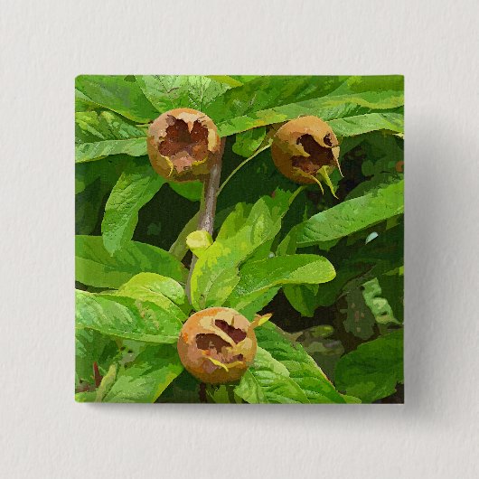 MEDLAR OBST BUTTON (Vorderseite)