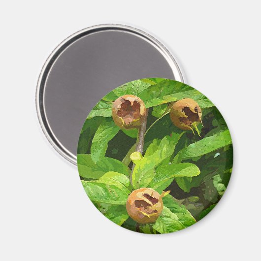 MEDLAR OBST MAGNET (Vorderseite/Rückseite)