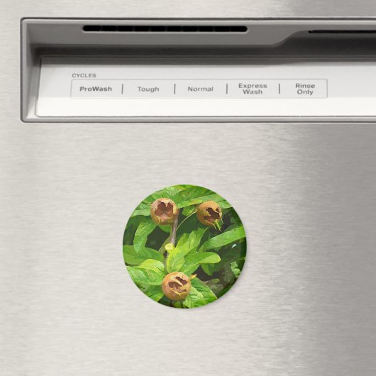 MEDLAR OBST MAGNET (In Situ (Geschirrspüler))