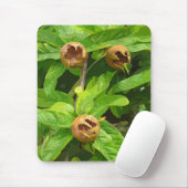 MEDLAR OBST MOUSEPAD (Mit Mouse)