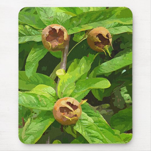 MEDLAR OBST MOUSEPAD (Vorne)