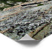 Medley Lake - Sierra Poster (Ecke)