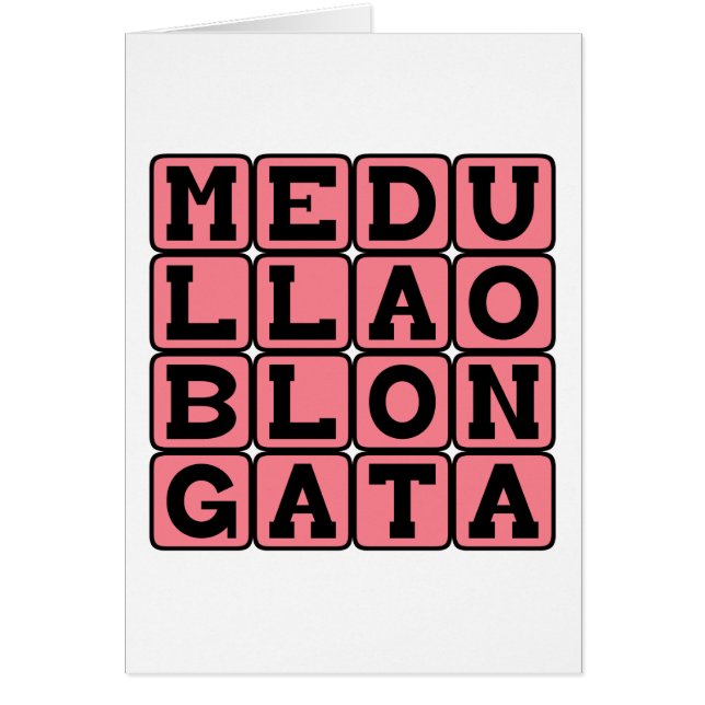 Medulla Oblongata, Brain Stem (Vorne)