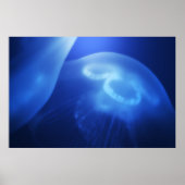 Medusa 1 poster (Vorne)