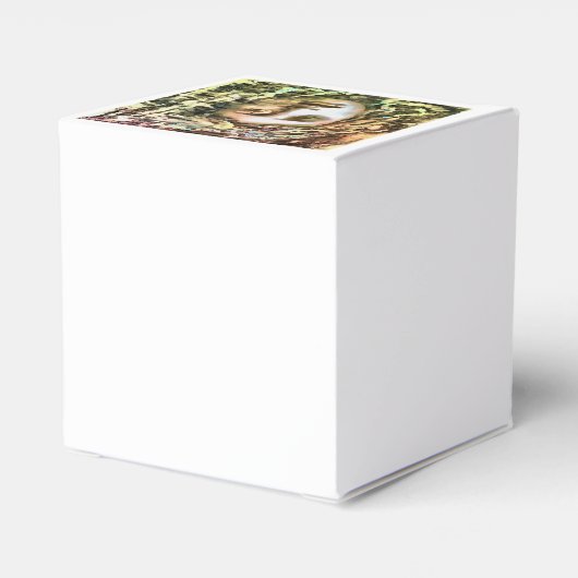 Medusa Portrait eines Gorgon Geschenkschachtel (Rückseite)