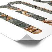 Medusa Poster (Ecke)