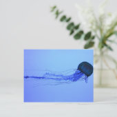 Medusa Postkarte (Stehend Vorderseite)