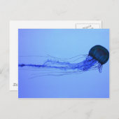 Medusa Postkarte (Vorne/Hinten)