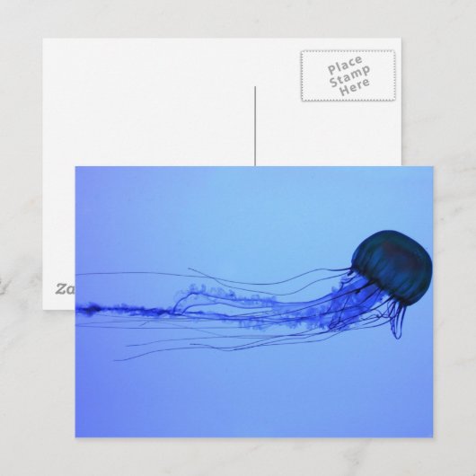 Medusa Postkarte (Vorne/Hinten)