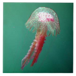 Medusa-Quallen-Fliese Fliese