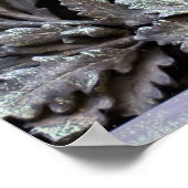 Medusa Shield of Athena Poster (Ecke)