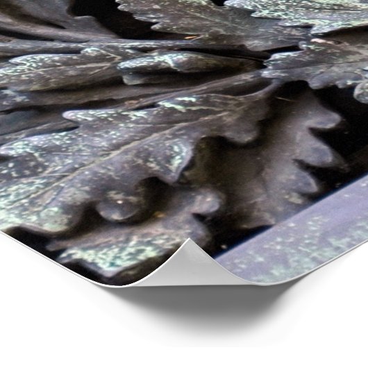 Medusa Shield of Athena Poster (Ecke)