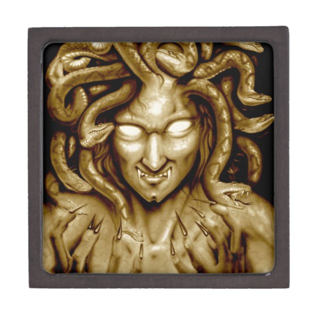 MEDUSA Spritzpistolen-Kunst-Vorlage Kiste (Vorderseite)