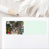 Meece Cat Frohe Weihnachts-Rücksendeadressen-Aufkl (Insitu)