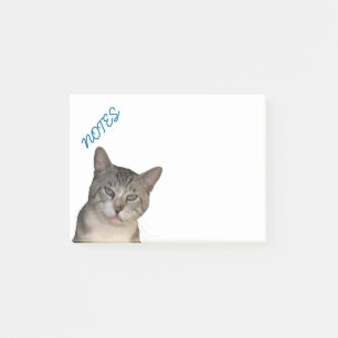 Meece Kitty mit blauen Augen Post-it Klebezettel