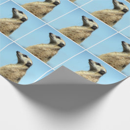 Meekat (1377) Packpapier