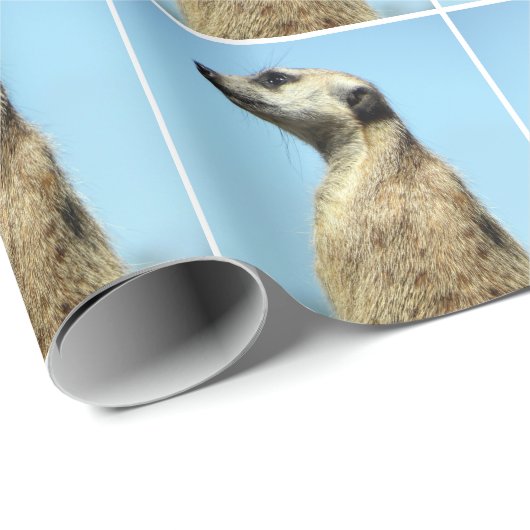 Meekat (1377) Packpapier (Rolleneckpunkt)