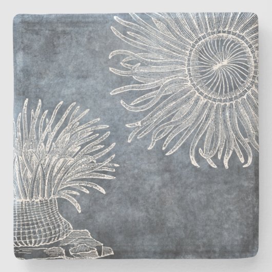 Meer Anemone Wasserfarbe Twilight Ozean Blau Weiß Steinuntersetzer (Vorderseite)