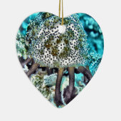 Meer Cucumber.jpg Keramikornament (Rechts)