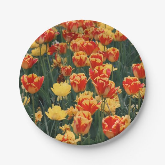 Meer der feuerischen Blume Pappteller (Vorderseite)