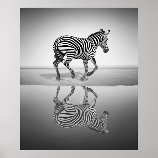 Meer der Freiheit Poster (Vorne)