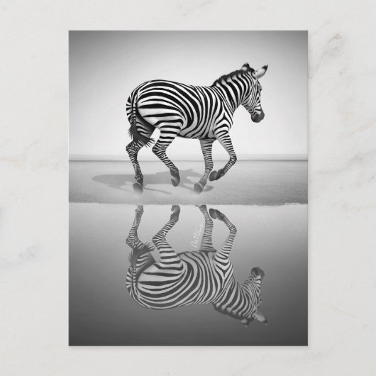 Meer der Freiheit Postkarte (Vorderseite)