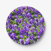 Meer der Stille: Das wunderschöne Lila Pansy-Feld Pappteller (Vorderseite)