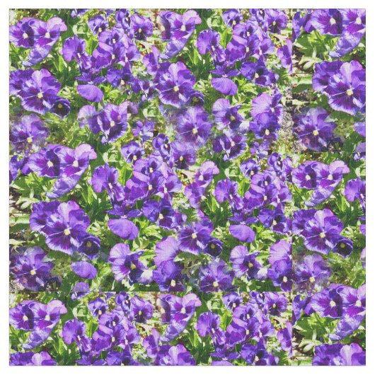 Meer der Stille: Das wunderschöne Lila Pansy-Feld Stoff (Nahaufnahme)