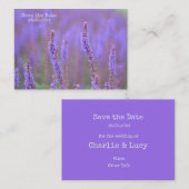 Meer der violetten Blumen bei RHS Wisley Save the  Mitteilungskarte (Vorne/Hinten)