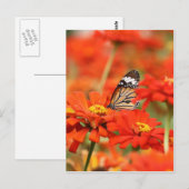 Meer des Rotes Postkarte (Vorne/Hinten)