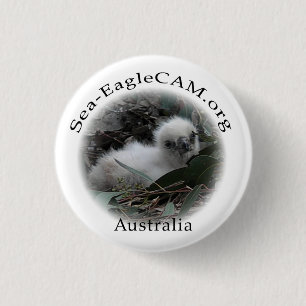 Meer-Eagle Hatchlings-Knopf Button