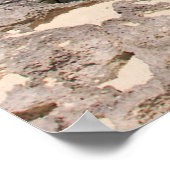 Meer und Dschungel Poster (Ecke)