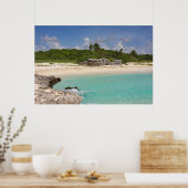 Meer und Dschungel Poster (Küche)