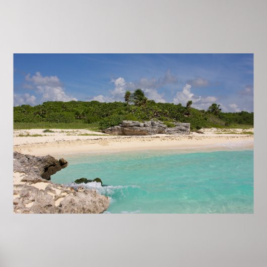 Meer und Dschungel Poster (Vorne)