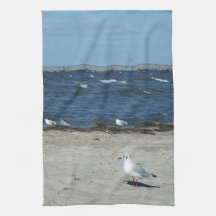 Meer, Wasser, Möwen, Vögel, Reisen, Blau, Himmel, Geschirrtuch