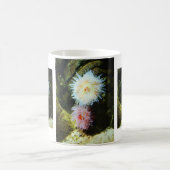 Meeranemonen Kaffeetasse (Mittel)