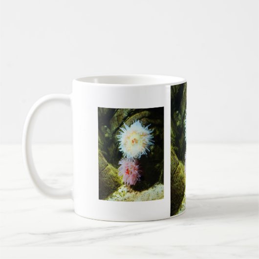 Meeranemonen Kaffeetasse (Links)