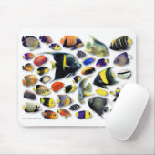 Meerangelfische Mousepad (Mit Mouse)