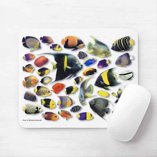 Meerangelfische Mousepad (Mit Mouse)