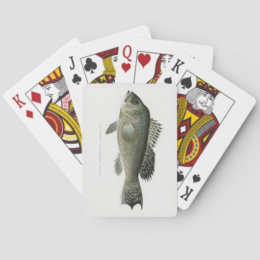 Meerbarben-Fisch-Spielkarten Spielkarten (Rückseite)
