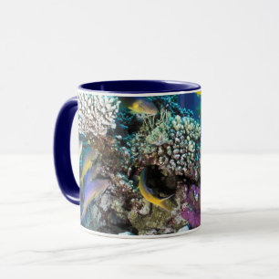Meerbarben-Schwarm um kleinen Korallen Tasse