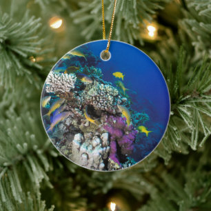 Meerbarben Schwarm um kleines Korallenriff Keramik Ornament
