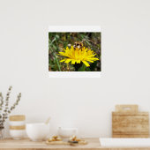 Meerbee-Plakat Poster (Küche)