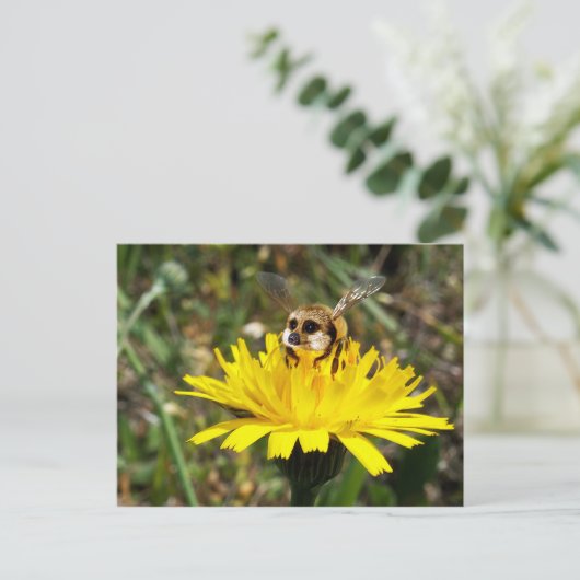 Meerbee Postkarte (Stehend Vorderseite)